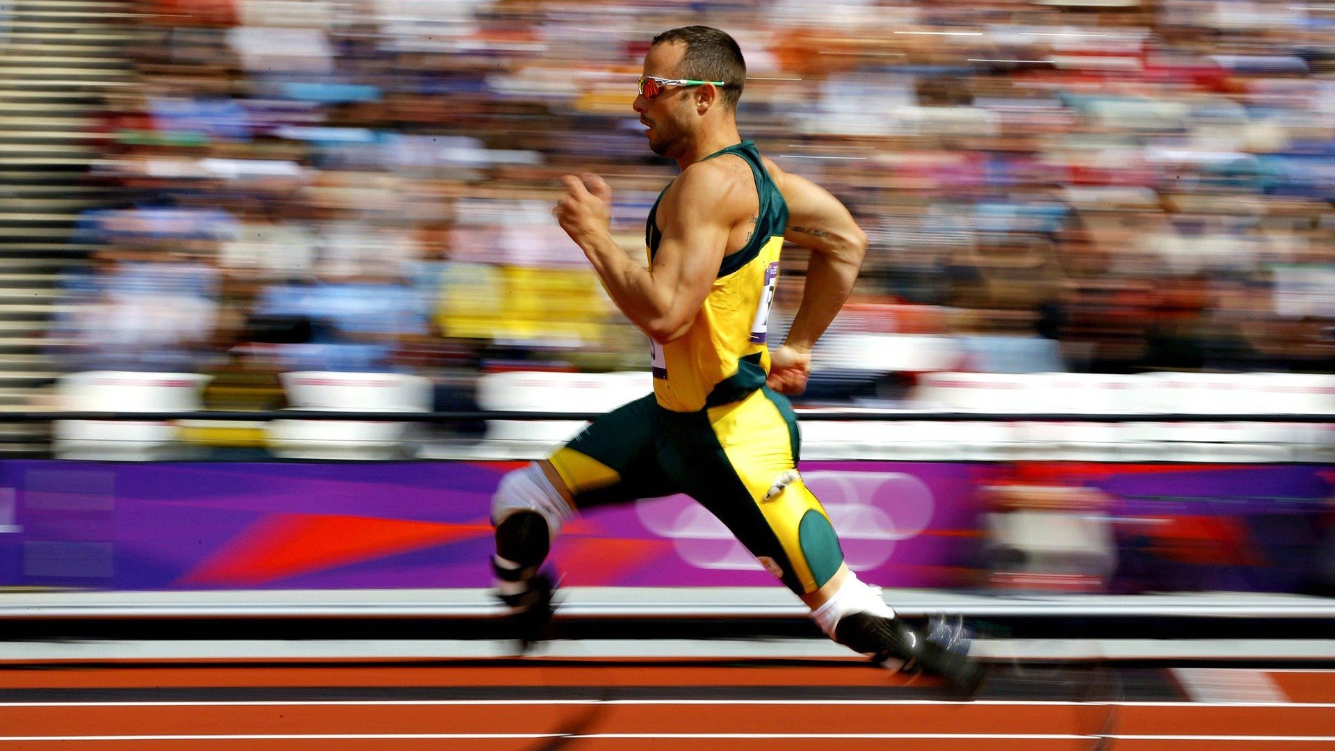 九游体育娱乐-多国合作开启足球绿色环保城市建设，倡导低碳运动生活