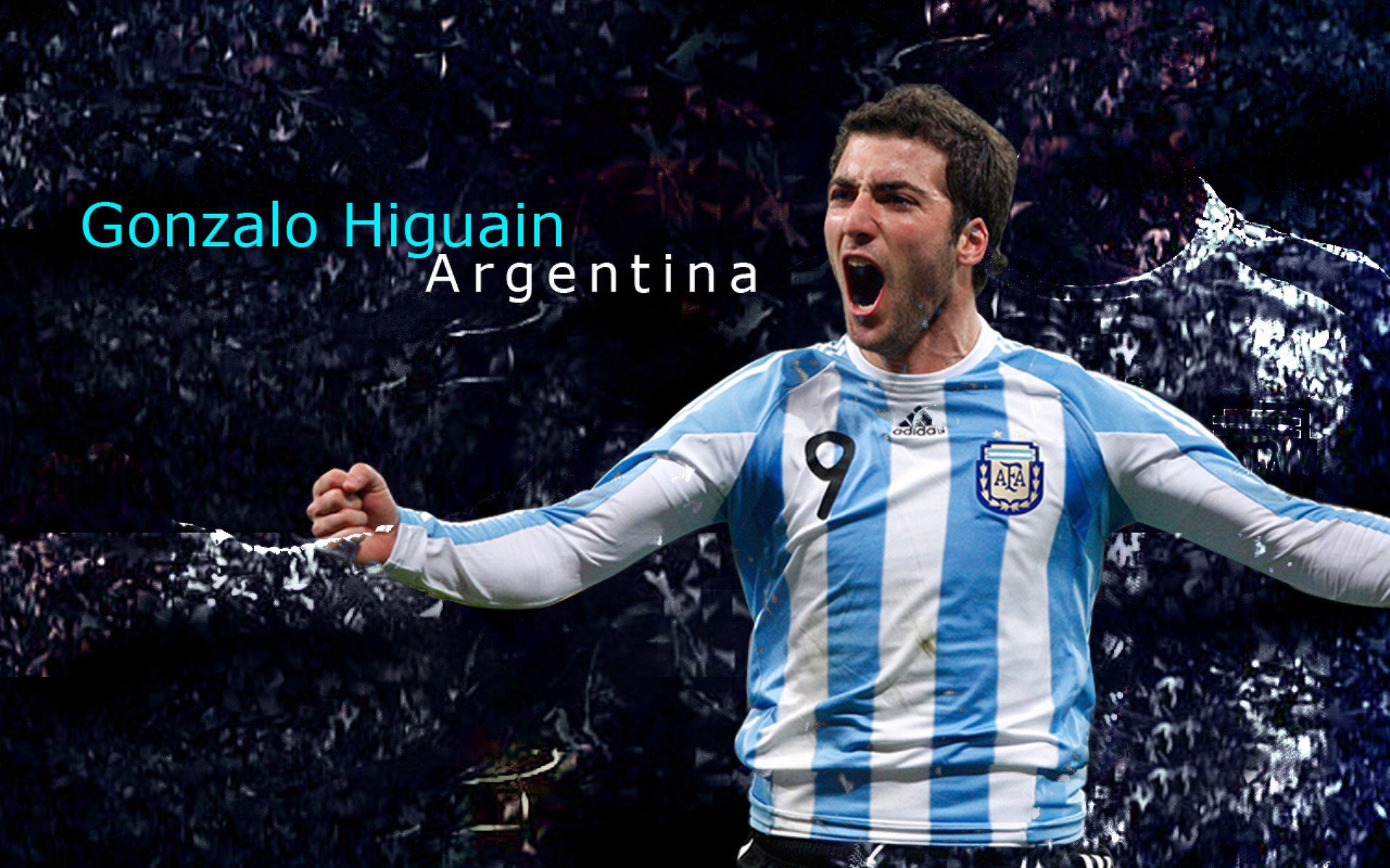 9体育-帕利斯特女子800米自由泳表现亮眼，女子八百米自由泳亚洲纪录